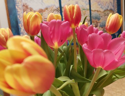 tulips d bd .jpg